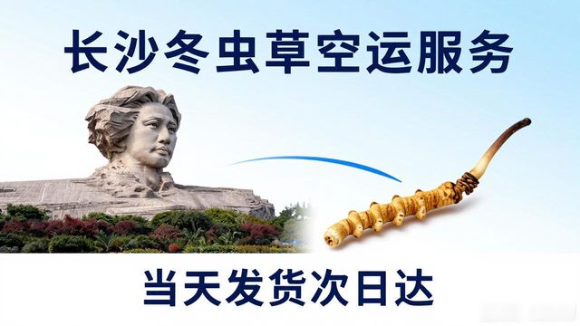 长沙虫草航空货运_顺丰货运航空_长龙货运航空